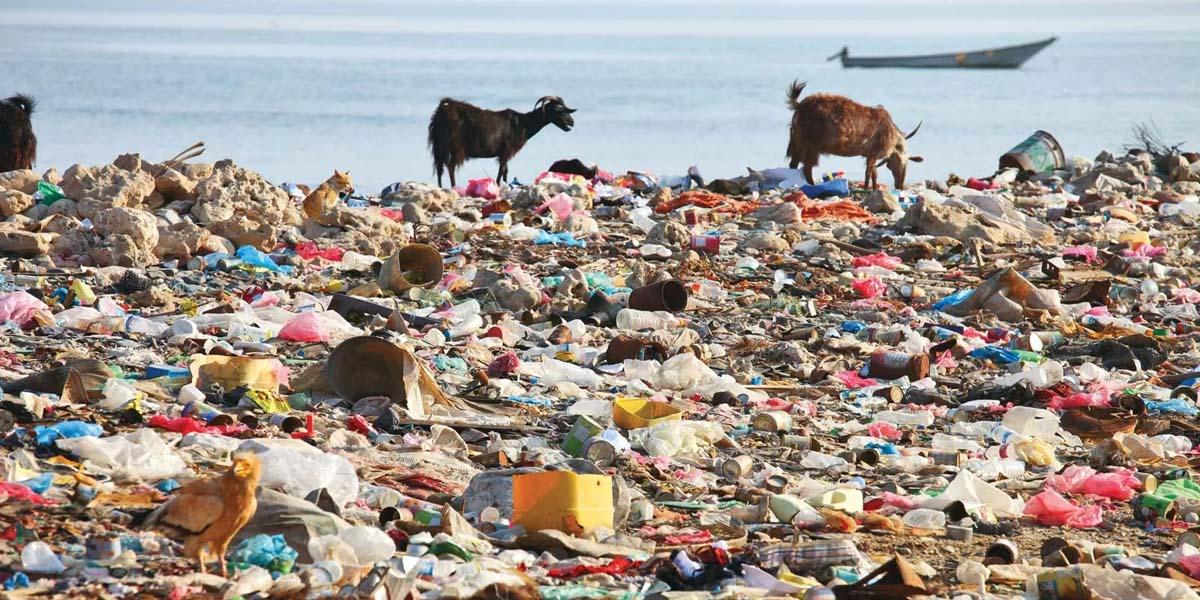 Environment Pollution বিষয়ক Paragraph লিখন, ২য় পর্ব, এইচএসসি ইংরেজি ২য় পত্র